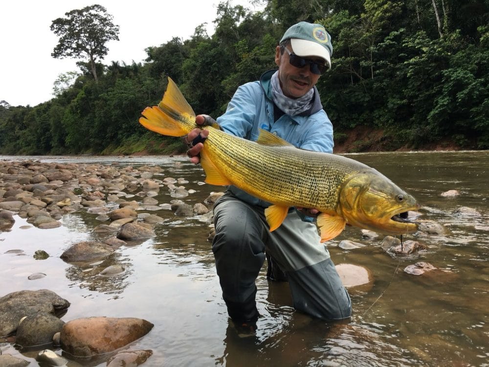 Bolivia, Tsmiane, Bolivia Tsimane, Bolivia Dorado, Tsimane Dorado, fishing for Dorado, Bolivia fishing, Bolivia Pacu, Aardvark McLeod Bolivia, Bolivia Secure Lodge fishing, Bolivia Agua Negra fishing, Bolivia Pluma Lodge fishing