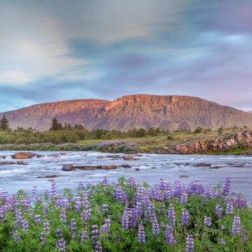 Atlantic salmon Iceland, Laxa I Kjos Iceland, Fly Fishing Iceland, Sea trout Iceland, Edward Smith Iceland, Iceland, Aardvark McLeod Iceland