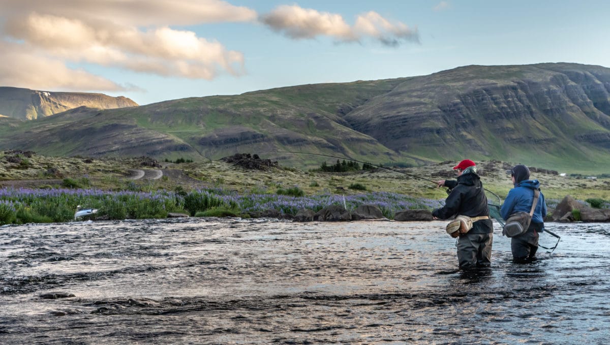 Atlantic salmon Iceland, Laxa I Kjos Iceland, Fly Fishing Iceland, Sea trout Iceland, Edward Smith Iceland, Iceland, Aardvark McLeod Iceland