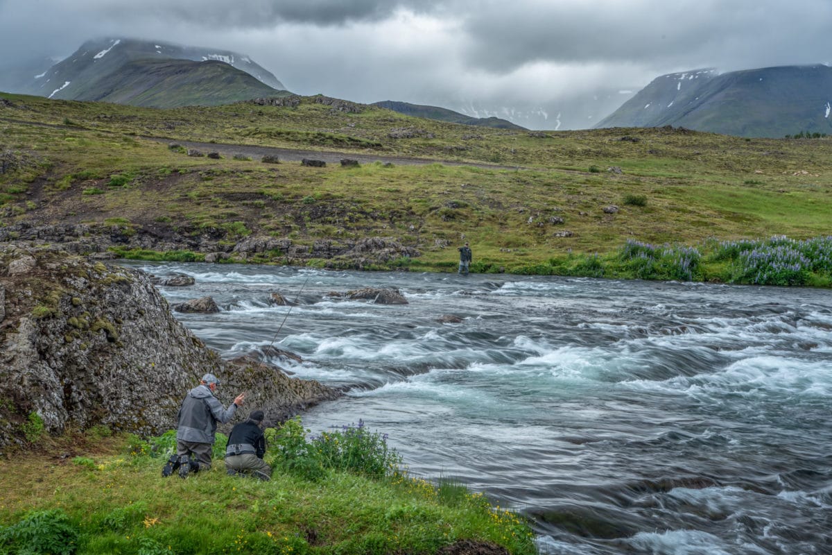 Atlantic salmon Iceland, Laxa I Kjos Iceland, Fly Fishing Iceland, Sea trout Iceland, Edward Smith Iceland, Iceland, Aardvark McLeod Iceland