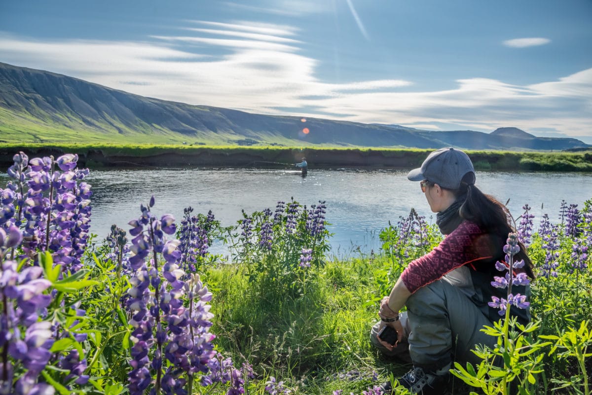 Atlantic salmon Iceland, Laxa I Kjos Iceland, Fly Fishing Iceland, Sea trout Iceland, Edward Smith Iceland, Iceland, Aardvark McLeod Iceland