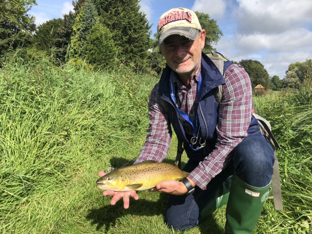 Brown trout, chalkstream fly fishing, river test, river anton, river avon,