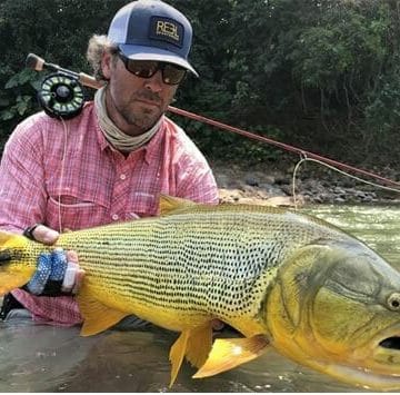 Pluma Lodge, Bolivia, dorado