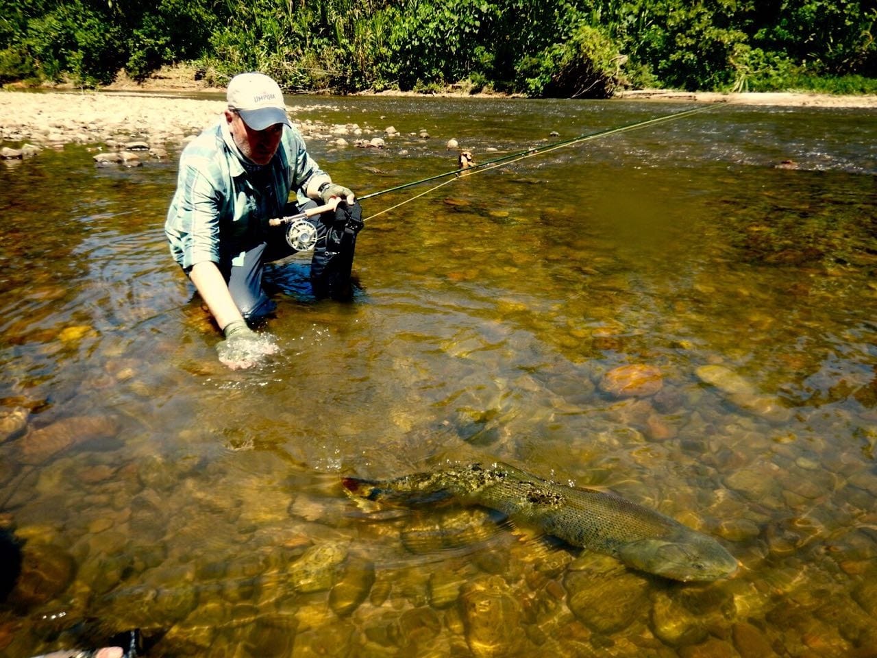 Bolivia, Tsmiane, Bolivia Tsimane, Bolivia Dorado, Tsimane Dorado, fishing for Dorado, Bolivia fishing, Bolivia Pacu, Aardvark McLeod Bolivia, Bolivia Secure Lodge fishing, Bolivia Agua Negra fishing, Bolivia Pluma Lodge fishing