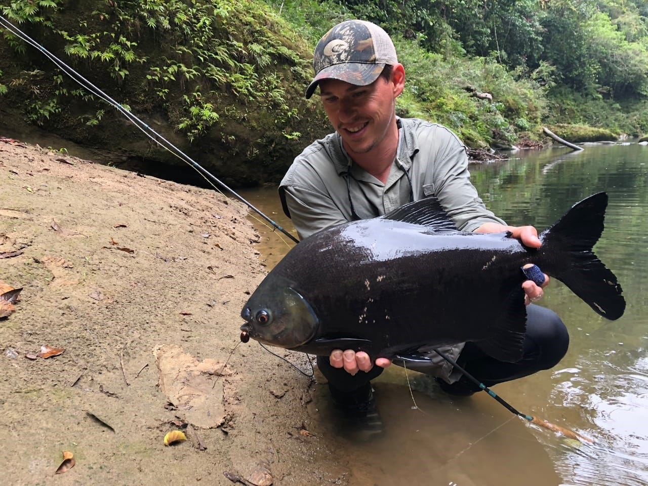 Bolivia, Tsmiane, Bolivia Tsimane, Bolivia Dorado, Tsimane Dorado, fishing for Dorado, Bolivia fishing, Bolivia Pacu, Aardvark McLeod Bolivia, Bolivia Secure Lodge fishing, Bolivia Agua Negra fishing, Bolivia Pluma Lodge fishing