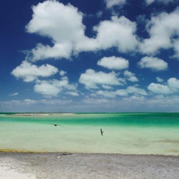 Ikari House, Christmas Island, Kiribati, Aardvark McLeod