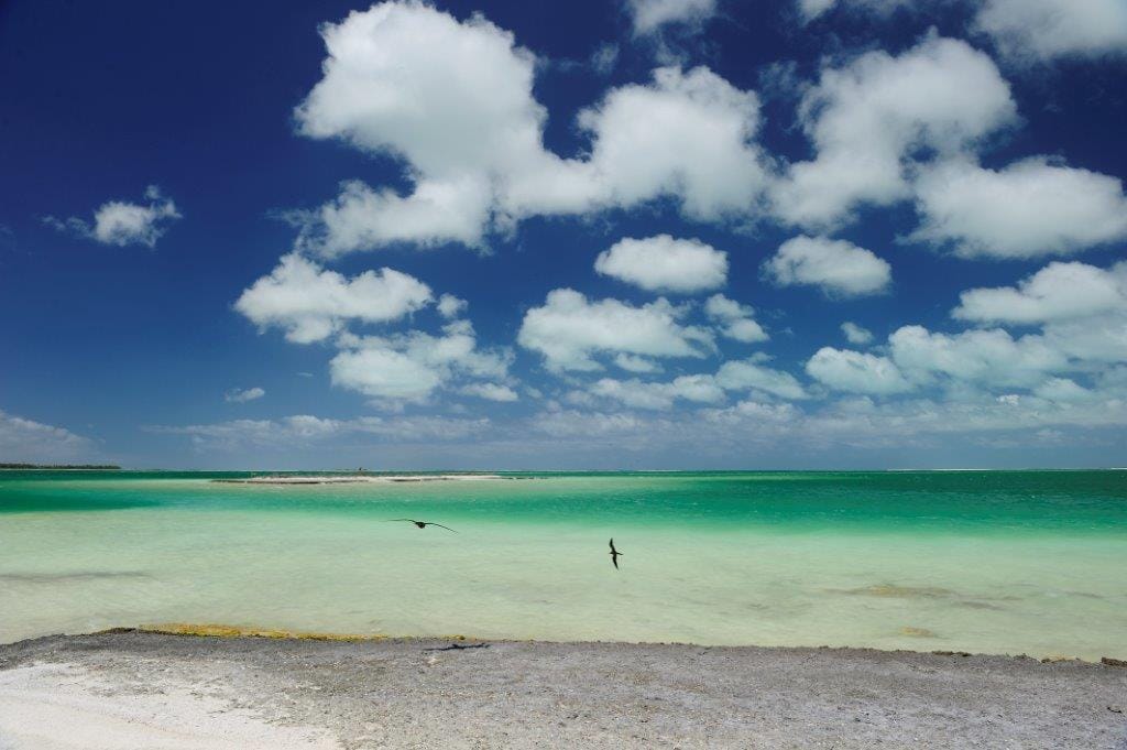 Christmas Island, Xmas Island, Kiribati, Aardvark McLeod