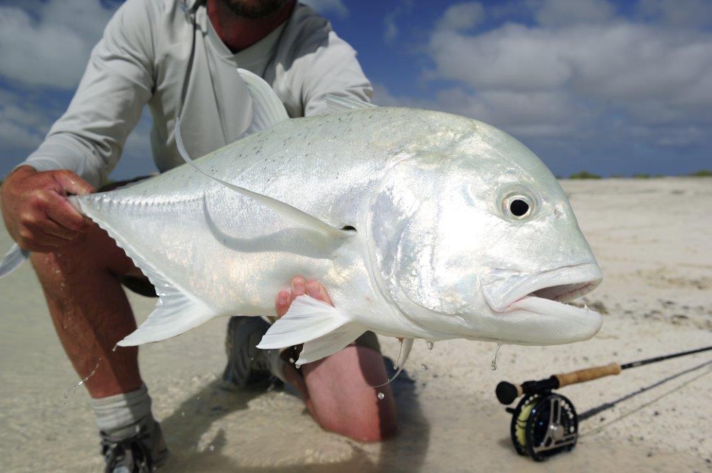 Christmas Island, Xmas Island, Kiribati, Aardvark McLeod