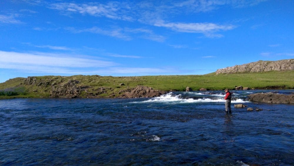 Langa, Iceland, Aardvark McLeod