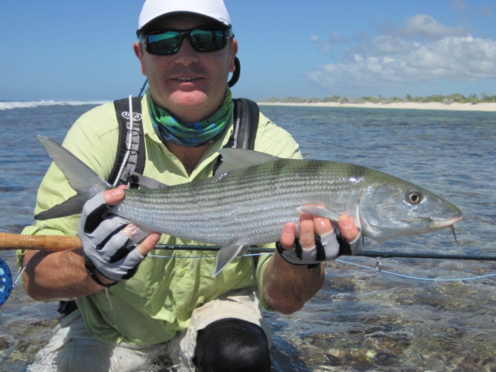 Land crab caught a bone fish, Christmas island, Kiribati Stock