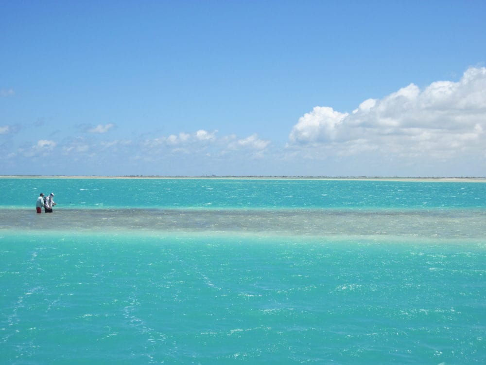 Ikari House, Christmas Island, Kiribati, Aardvark McLeod