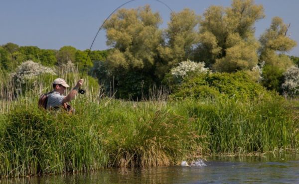 Mayfly fishing, Wherwell Estate River Test, chalkstream fly fishing, river test