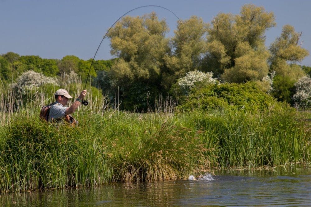 Mayfly fishing, Wherwell Estate River Test, chalkstream fly fishing, river test