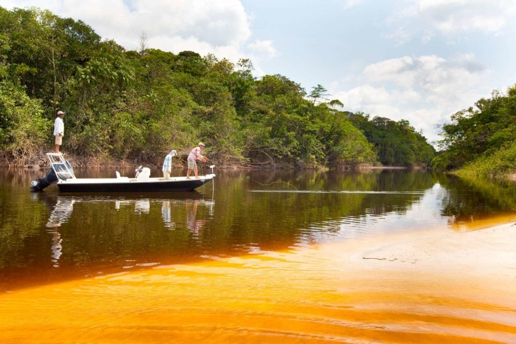 Rio marie, rio de gigantes, fishing brazil, peacock bass, matt harris, untamed angling, aardvark mcleod, fishing jungle, fly fishing peacock bass, peacock bass flies, fishing manaus, fishing amazon