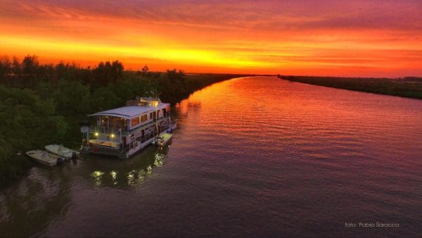 Golden Dorado River Cruiser, fly fishing golden dorado, golden dorado fishing, catching golden dorado, fishing Argentina, Estancia Laguna Verde, popper fishing, fly fishing tips, aardvark mcleod