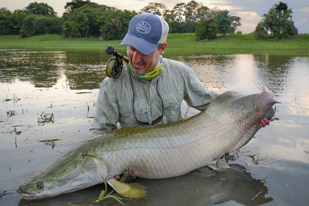 Pirarucu lodge, arapaima fishing, arapaima fly fishing, arapaima on the fly, flies for arapaima, untamed angling, jungle fishing, fishing Brazil, aardvark mcleod