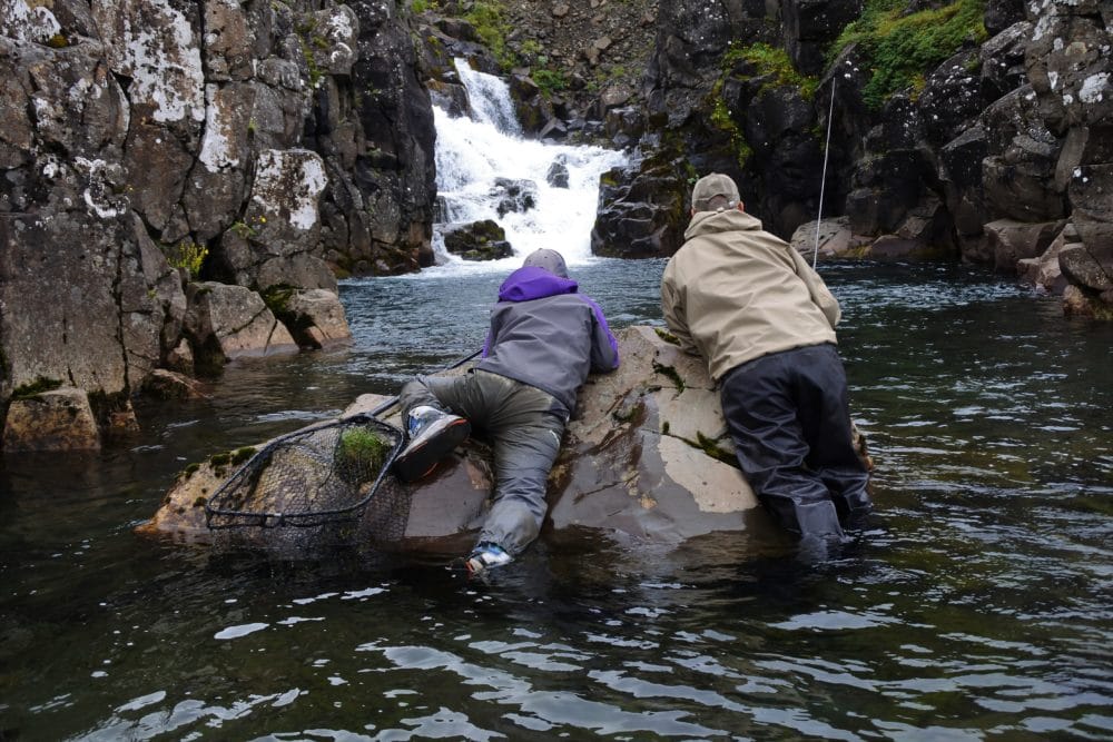 Katka Svagrova, French leader fishing, Atlantic salmon, Laxa I Kjos, Iceland, Aardvark McLeod