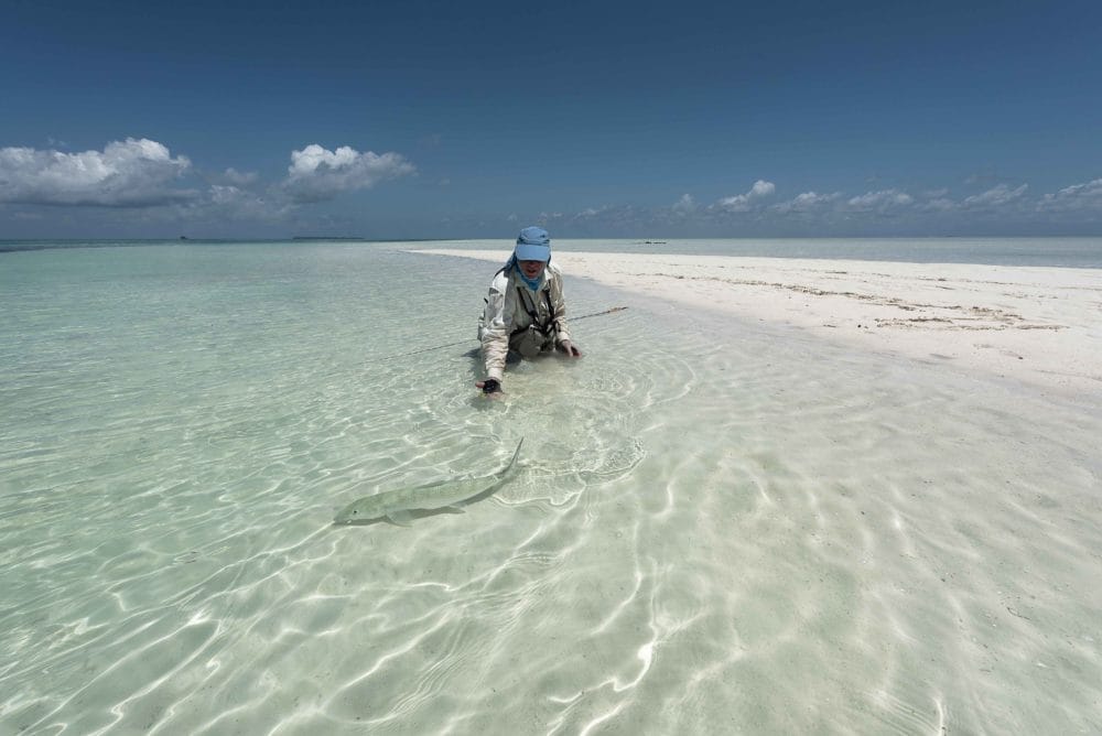 Alphonse Island, St Francois atoll, Seychelles, fishing Astove, fishing in Seychelles, GTs, giant trevally, bonefish, triggerfish, permit, Aardvark McLeod