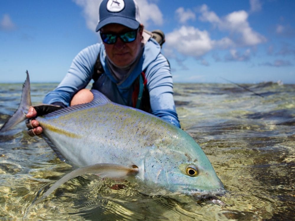 Bristling with anticipation and keen to build on the success of the previous week a full house of six rods came to Astove for the fourth week of the season. With the neap tides moving into springs fresh opportunities came to fish all areas of the lagoon and to spend plenty of time walking in the surf. Increasing from the previous week a steady twenty knot wind persisted. While the GT fishing on the flats proved to be tough, this week all of the guests made the most of the other prospects on offer. Paul Collins and Miles Beharrell spent much of the first day bending into bones in the skinny water of the lagoon raked up over one hundred fish. GT champion of the week was Leo Kotelnikov who tamed two fish from Paulies while casting from the shallow coral shelf into the deep blue of Astoves’ famous wall. Michael Wallis-Brown brought Mikey Kirsten along to Astove to experience his first flyfishing trip, three times Mikey bent into big GT’s of over a metre and twice these big fish came within touching distance, only to break free in the dying stages of the fight. Miles and Paul took the chance to head to North Point to get their GT fix and in quick succession brought three GT’s to the boat, 80 cm being the biggest. The sunny weather broke on the final day and as the forecast threatened the heavens opened, this didn’t stop Paul from landing a good-sized moustache trigger and Miles from hooking two. While it was not an easy week and the ball did not really bounce our way decent numbers of some very good fish were seen. Tight lines from the Alphonse Fishing Co. Team on Astove Atoll.