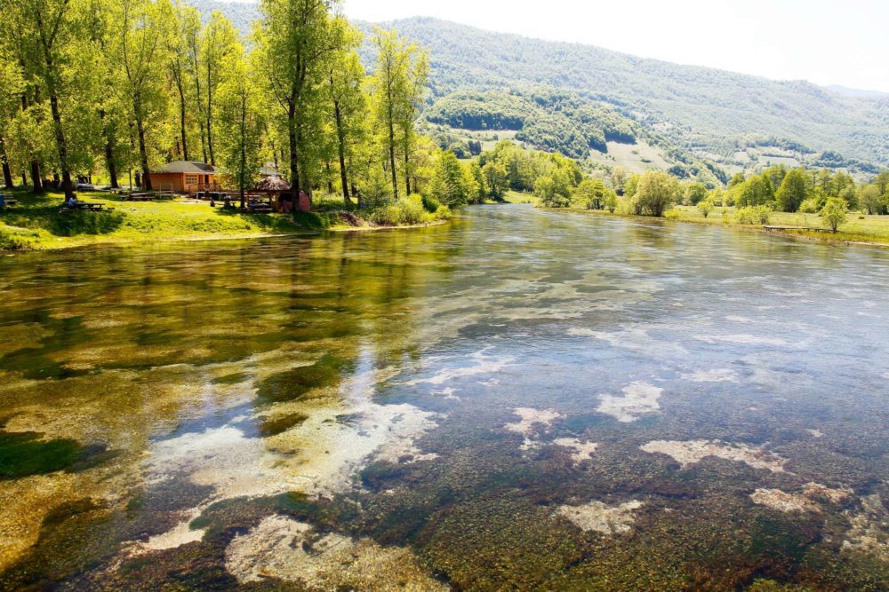 Bosnia, Pliva River, Trout Fishing, Aardvark McLeod