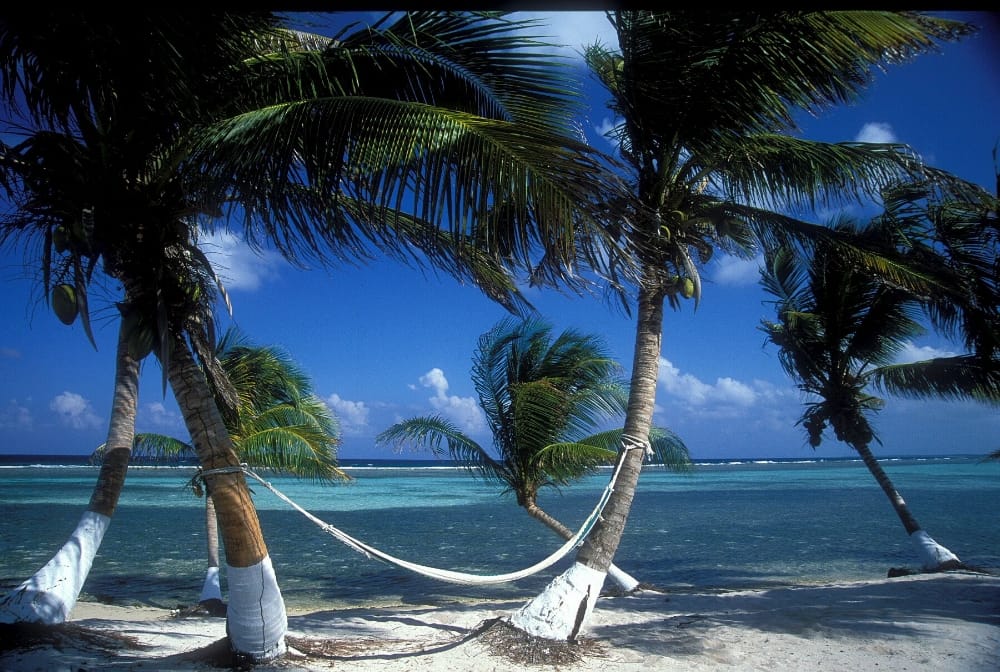 Pelican Villa, Turneffe Flats Lodge, Belize, Aardvark McLeod