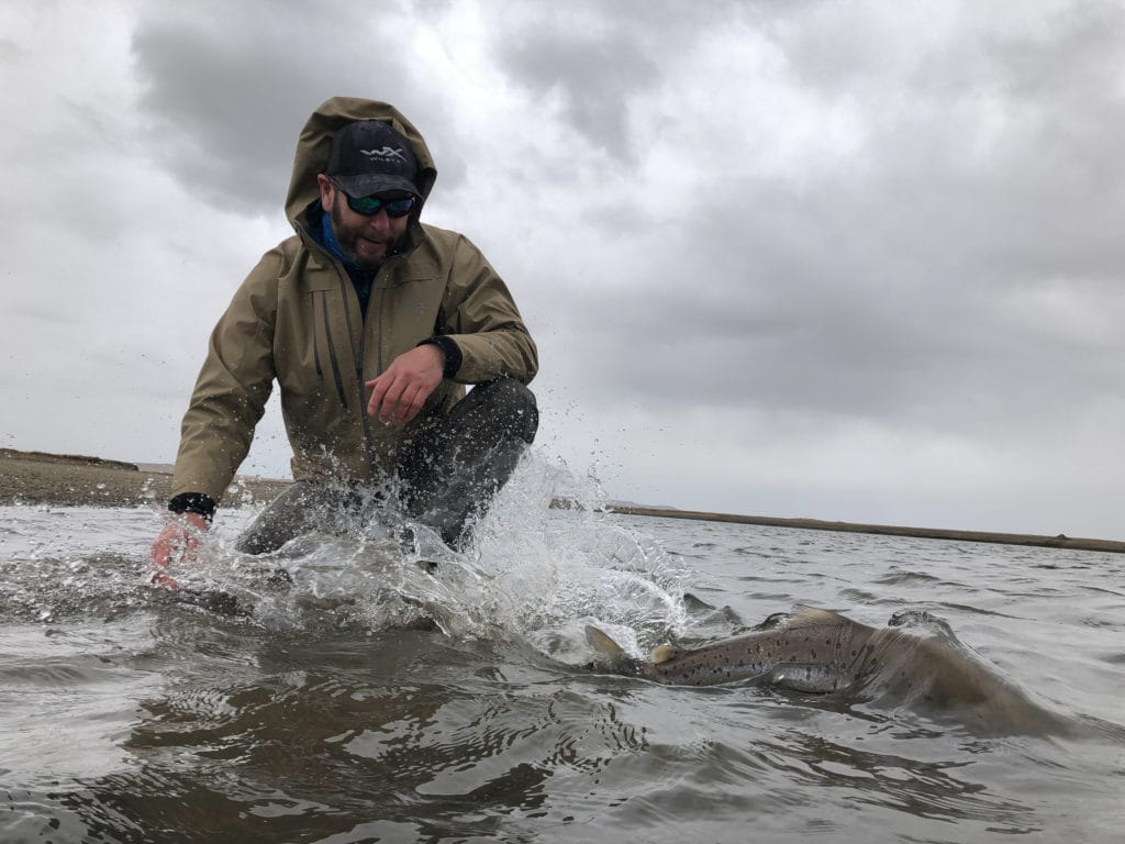 Sea trout, rio grande, tdf, tierra del fuego, sea run brown trout, argentina, fishing sea trout argentina, rio menendez, sea trout flies, huge sea trout, aardvark mcleod, villa maria, villa maria lodge, nervous waters