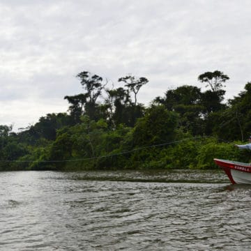 Nicaragua, Tapam Lodge, Tarpon