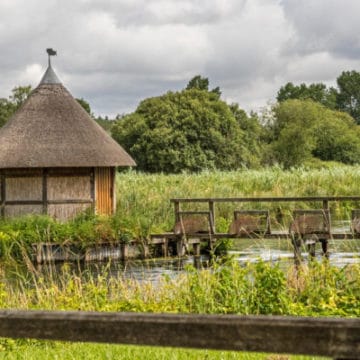 River Test, Brown Trout, Chalkstream Fishing, Aardvark McLeod