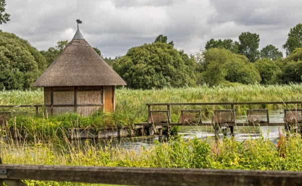 River Test, Brown Trout, Chalkstream Fishing, Aardvark McLeod