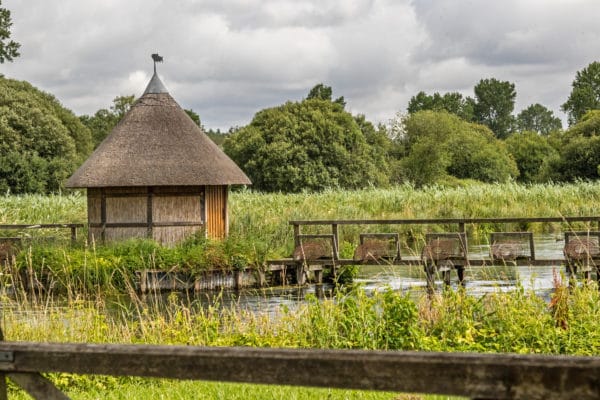 River Test, Brown Trout, Chalkstream Fishing, Aardvark McLeod