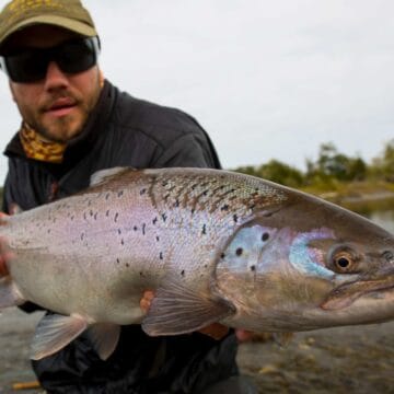 Sea Trout fishing Rio Irigoyen Argentina, Fishing the Rio Irigoyen for sea trout in Argentina, rio irigoyen river, world end lodge, far end river, sea trout fishing argentina, aardvark mcleod, tierra de fuego, fishing tdf, sea trout tdf