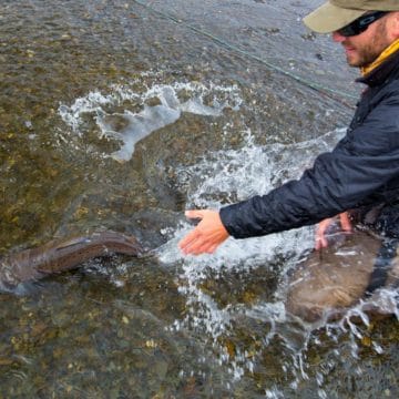 RIO IRIGOYEN, IRIGOYEN RIVER, WORLD END LODGE, FAR END RIVER, SEA TROUT FISHING ARGENTINA, TDF, TIERRA DEL FUEGO, FISHING ARGENTINA, AARDVARK MCLEOD