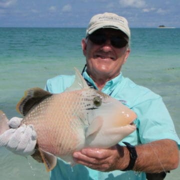 Aardvark McLeod Alphonse Island yellowmargin triggerfish