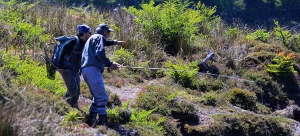 Chile, sea trout rio grande, cameron lodge, chile sea trout, Tierra del Fuego, fishing tdf, tdf, fishing chile, Chile Rio Grande, TDF sea trout