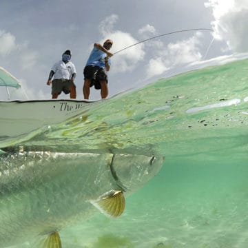 Los Roques, Venezuela, Aardvark McLeod