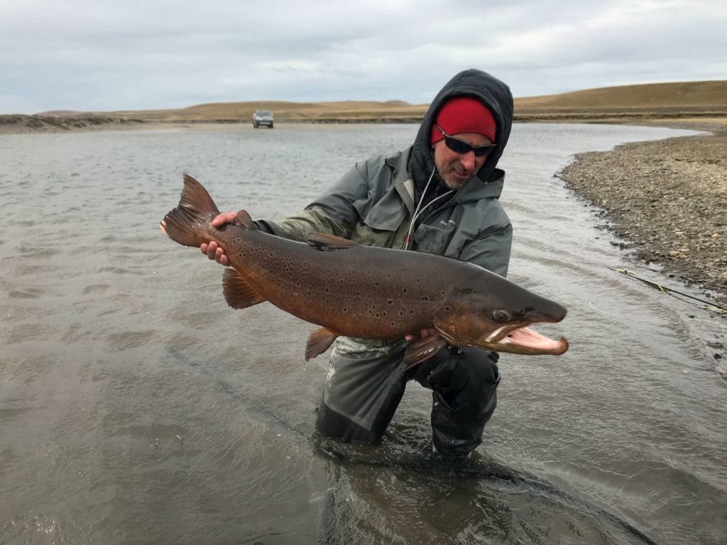 la villa maria behety, Sea trout, rio grande, tdf, tierra del fuego, sea run brown trout, argentina, fishing sea trout argentina, rio menendez, sea trout flies, huge sea trout, aardvark mcleod,