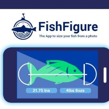 FishFigure