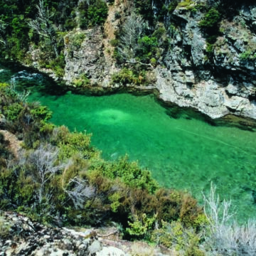 Trout Fishing, New Zealand, Tongariro Lodge New Zealand