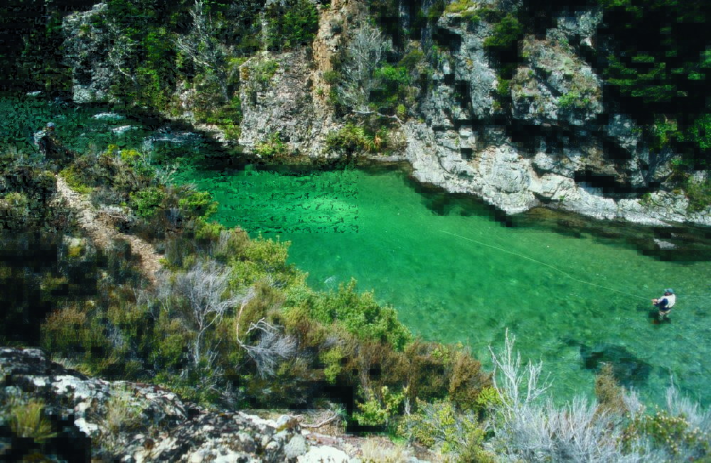 Trout Fishing, New Zealand, Tongariro Lodge New Zealand, Dry Fly Fishing
