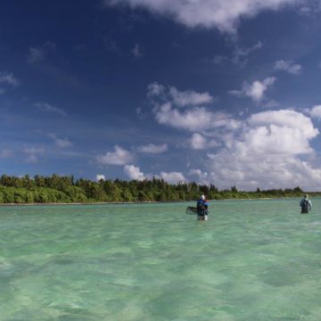 Providence Atoll, Seychelles, Aardvark McLeod