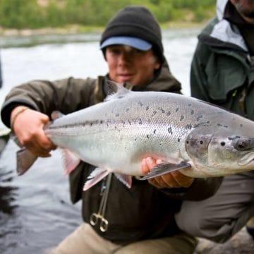 ponoi, ryabaga camp, russia salmon, kola peninsula salmon, salmon flies russia, fishing russia, aardvark mcleod