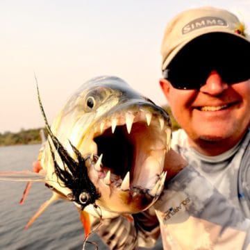 Botswana Okavango tigerfish