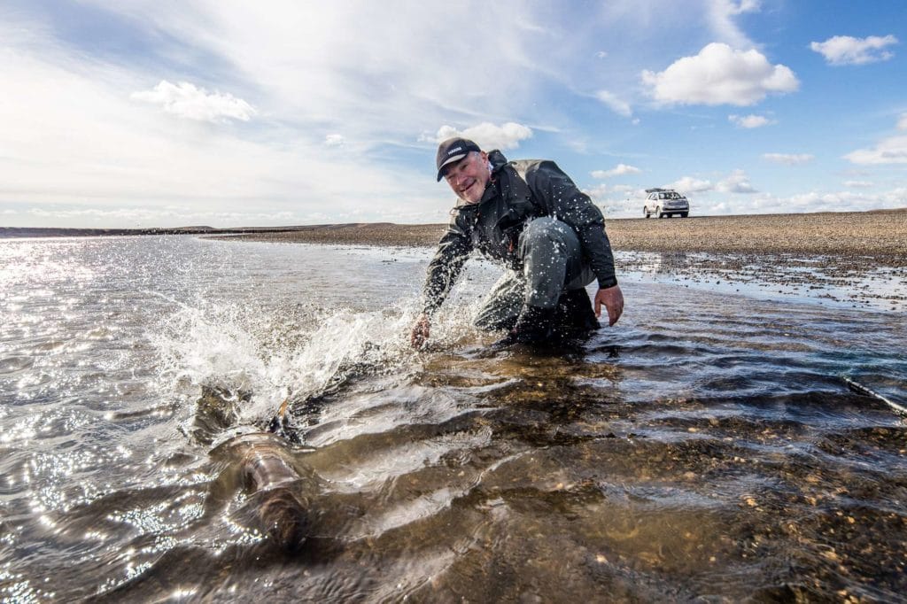 Sea trout, rio grande, tdf, tierra del fuego, sea run brown trout, argentina, fishing sea trout argentina, rio menendez, sea trout flies, huge sea trout, aardvark mcleod, kau tapen