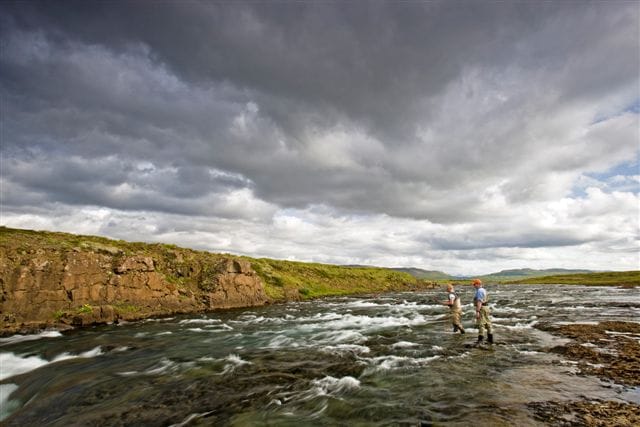 Langa, Iceland, Aardvark McLeod