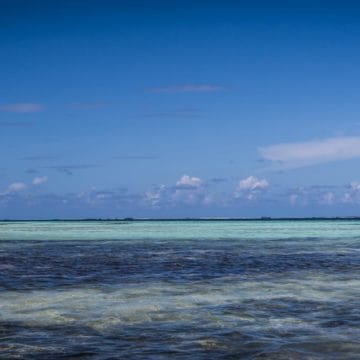 Los Roques, Venezuela, Aardvark McLeod