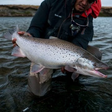 Rio Grande, Aardvark McLeod, Aurelia lodge, sea trout tierra del fuego, fishing sea trout argentina