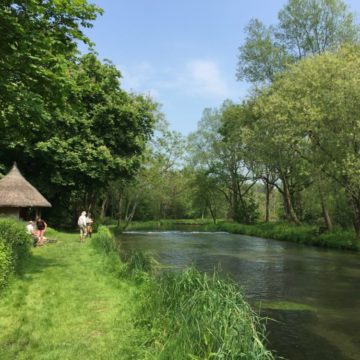 River Test, Brown Trout, Chalkstream Fishing