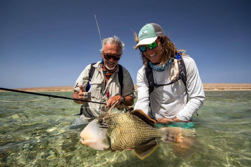 Sudan, triggerfish, titan triggerfish, yellow margin triggerfish, GT, bluefin trevally