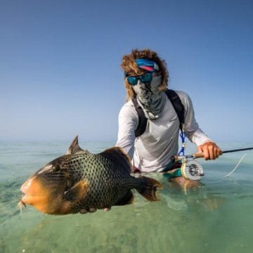 Sudan, triggerfish, titan triggerfish, yellow margin triggerfish, GT, bluefin trevally