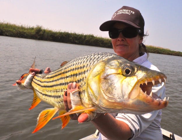 Botswana Okavango tigerfish